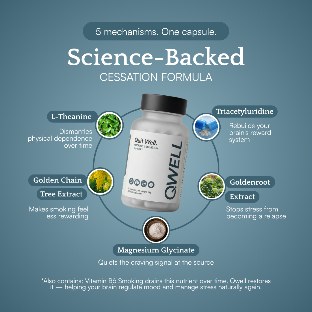 Qwell's science-backed formula with five active ingredients: Golden Chain Tree extract, L-Theanine, Magnesium Glycinate, Triacetyluridine, and Goldenroot extract.