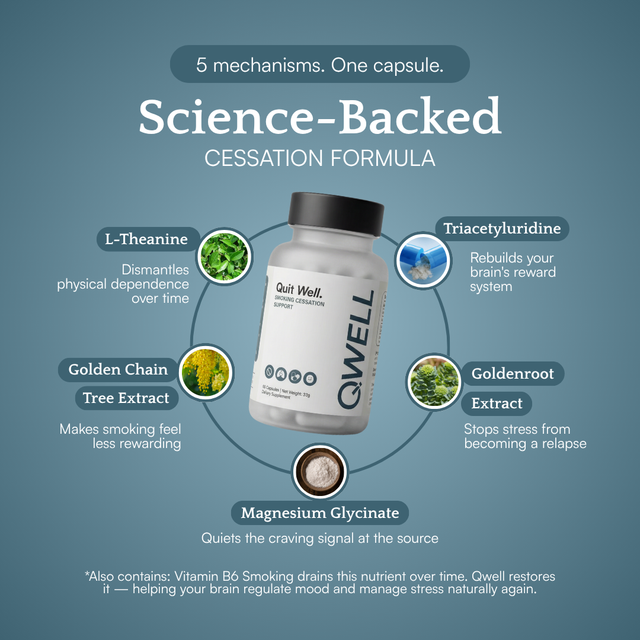 Qwell's science-backed formula with five active ingredients: Golden Chain Tree extract, L-Theanine, Magnesium Glycinate, Triacetyluridine, and Goldenroot extract.